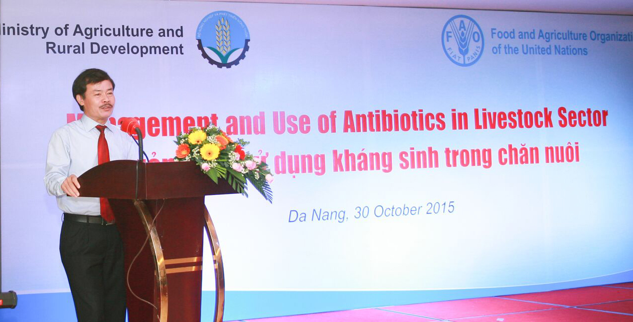 Strengthening the management of antibiotic use in the livestock sector in Viet Nam